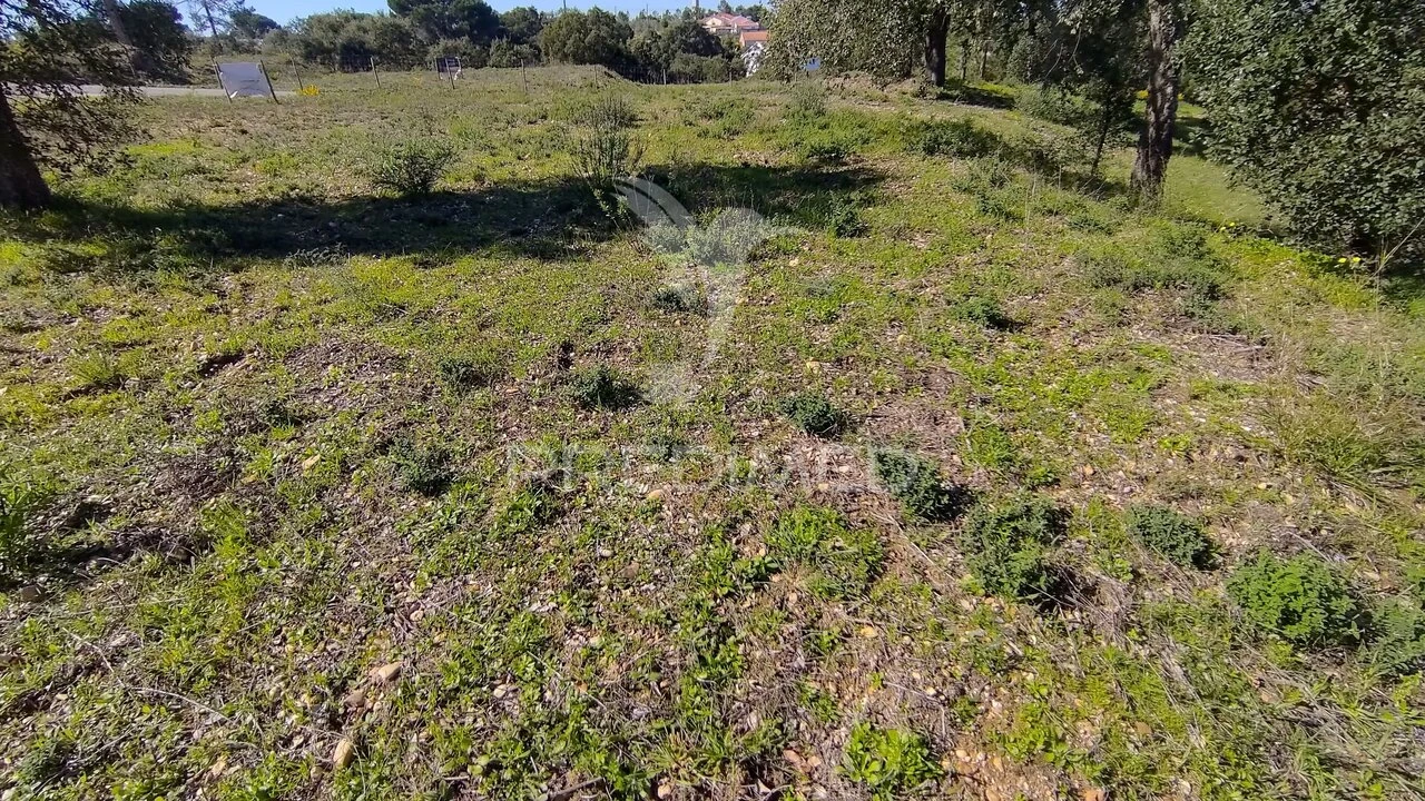 Terreno para Venda em Santa Margarida da Coutada Foto 11