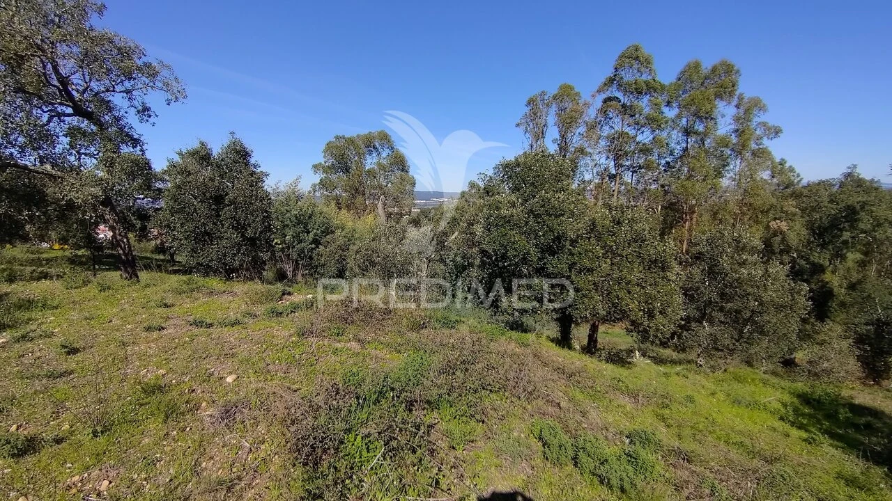 Terreno para Venda em Santa Margarida da Coutada Foto 6
