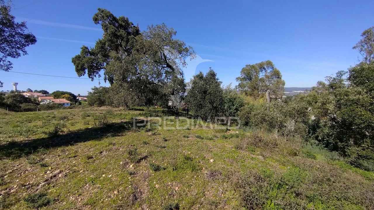 Terreno para Venda em Santa Margarida da Coutada Foto 8
