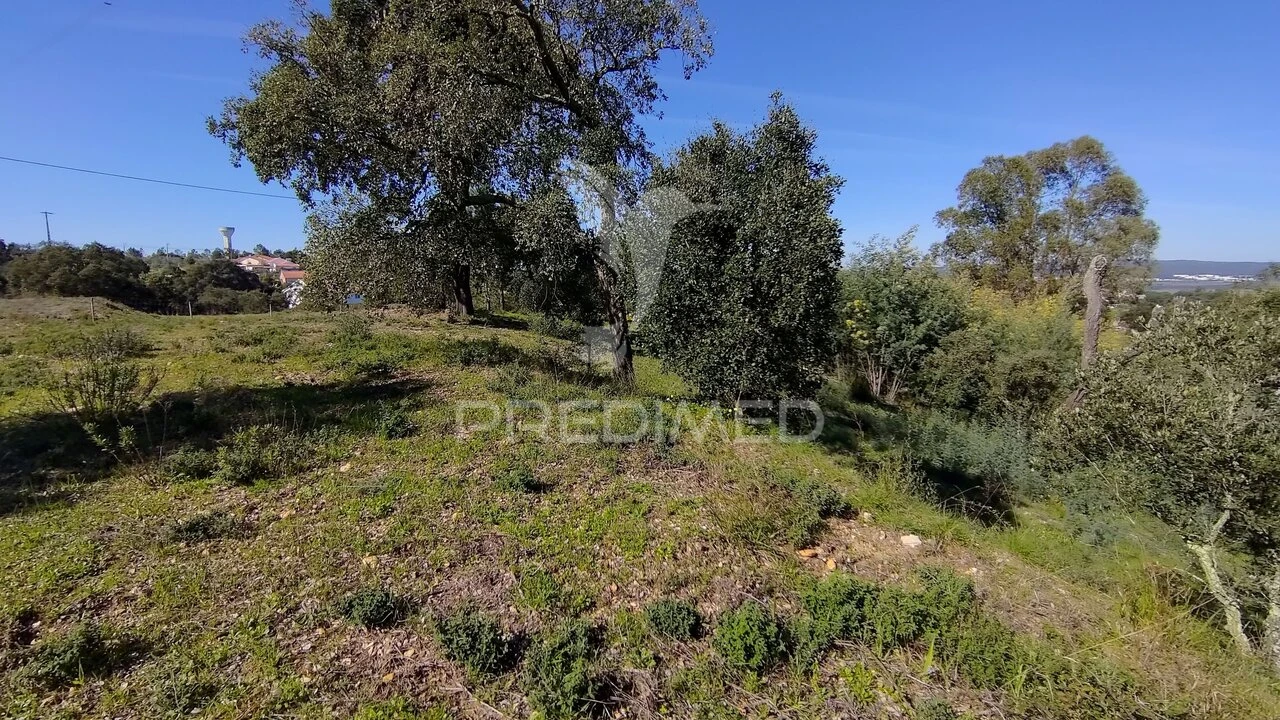 Terreno para Venda em Santa Margarida da Coutada Foto 10