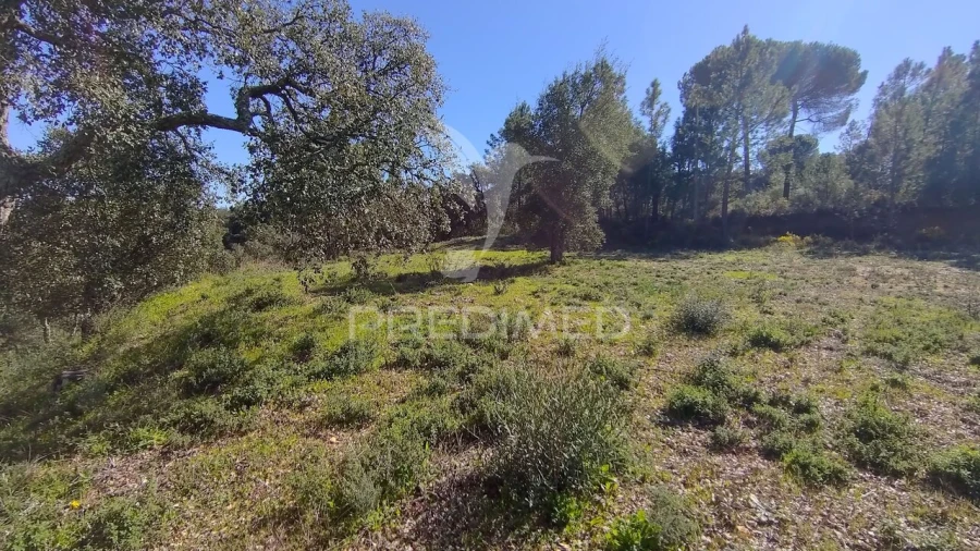 Terreno para Venda em Santa Margarida da Coutada Foto 13