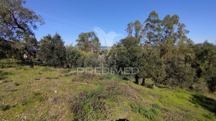Terreno para Venda em Santa Margarida da Coutada Foto 6