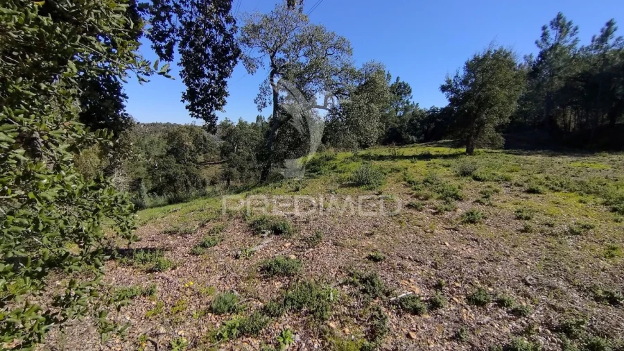 Terreno para Venda em Santa Margarida da Coutada Foto 19
