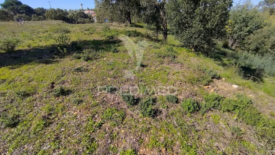Terreno para Venda em Santa Margarida da Coutada Foto 12