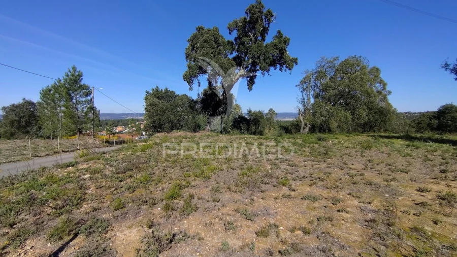 Terreno para Venda em Santa Margarida da Coutada Foto 21
