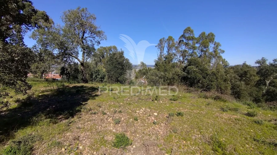 Terreno para Venda em Santa Margarida da Coutada Foto 5