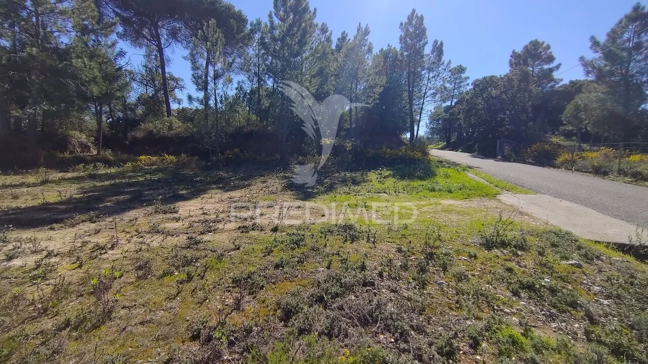 Terreno para Venda em Santa Margarida da Coutada Foto 11