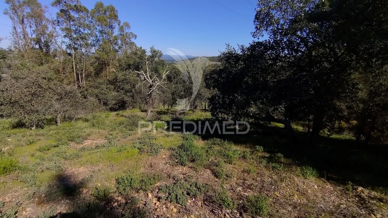 Terreno para Venda em Santa Margarida da Coutada Foto 8