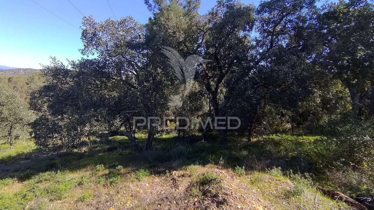 Terreno para Venda em Santa Margarida da Coutada Foto 9