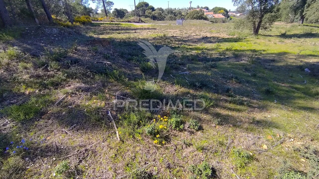 Terreno para Venda em Santa Margarida da Coutada Foto 10