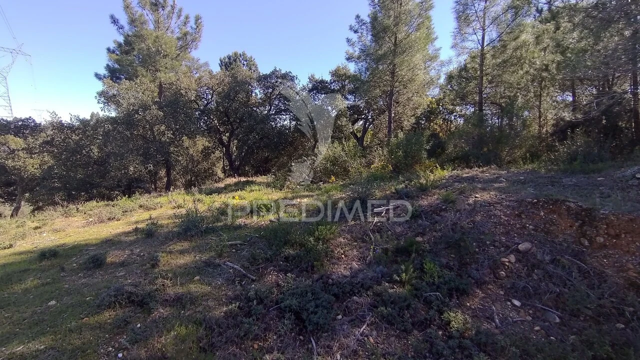 Terreno para Venda em Santa Margarida da Coutada Foto 4