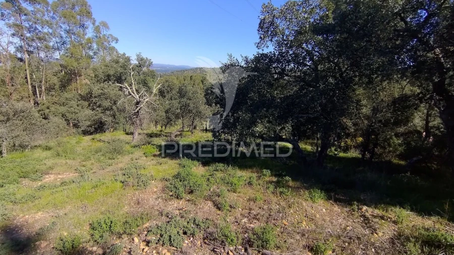 Terreno para Venda em Santa Margarida da Coutada Foto 7
