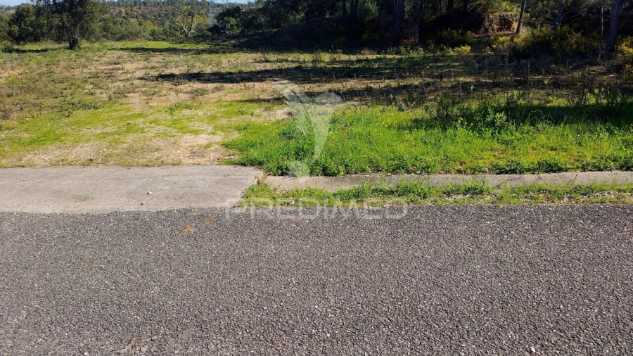 Terreno para Venda em Santa Margarida da Coutada