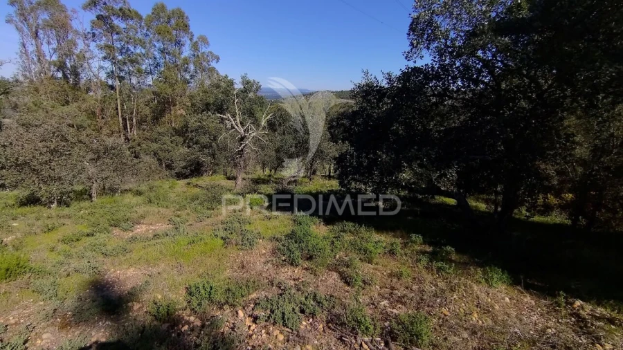 Terreno para Venda em Santa Margarida da Coutada Foto 8