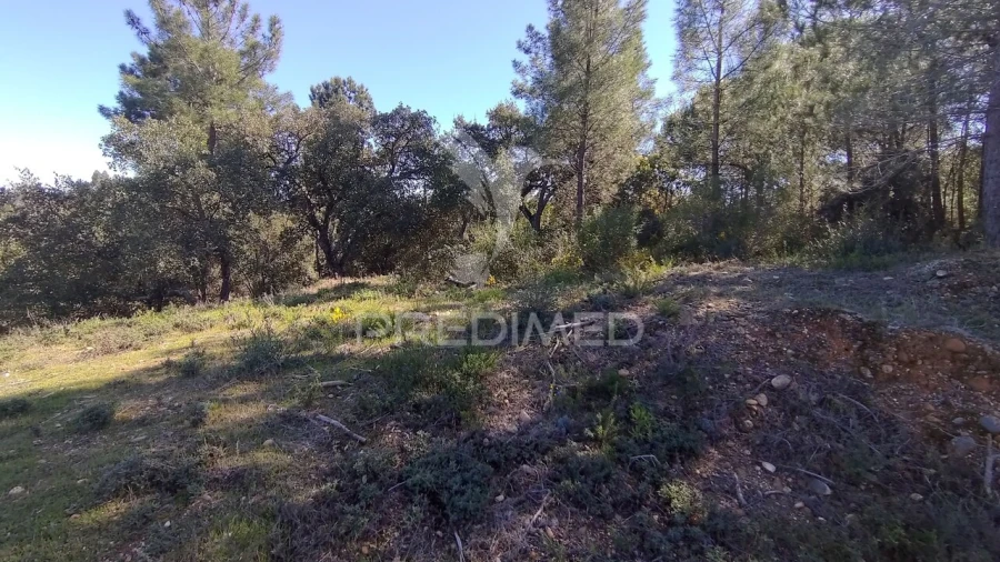 Terreno para Venda em Santa Margarida da Coutada Foto 5