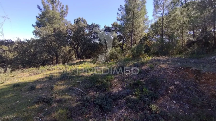 Terreno para Venda em Santa Margarida da Coutada Foto 4