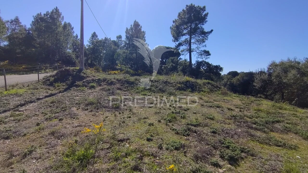 Terreno para Venda em Santa Margarida da Coutada Foto 24