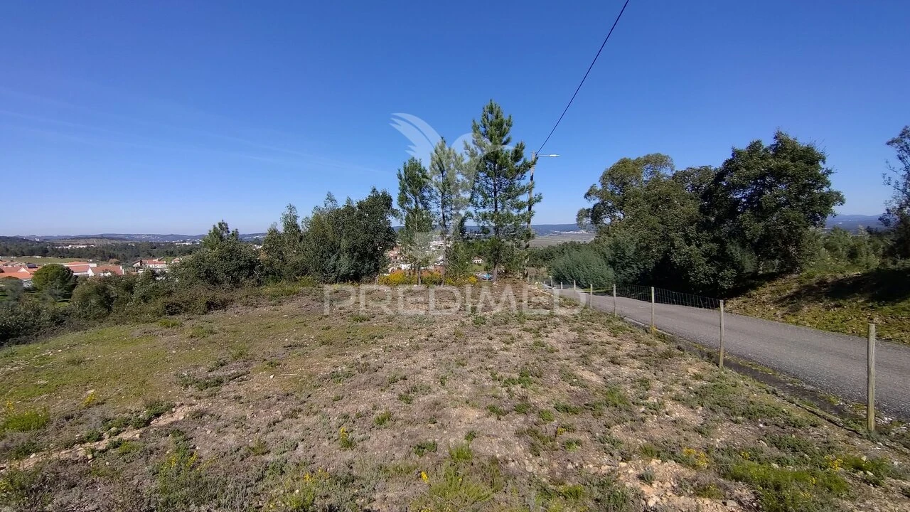 Terreno para Venda em Santa Margarida da Coutada Foto 26