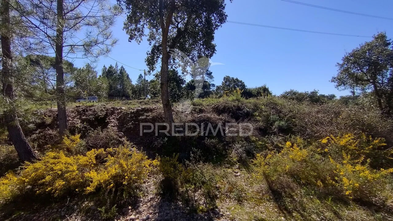 Terreno para Venda em Santa Margarida da Coutada Foto 18