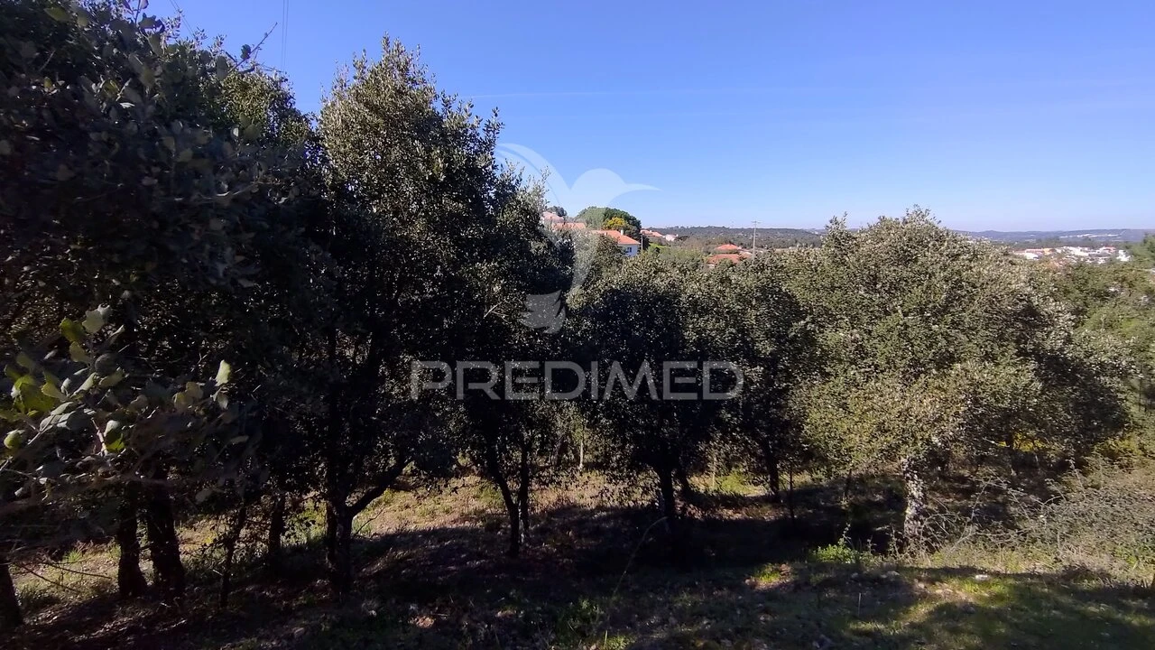 Terreno para Venda em Santa Margarida da Coutada Foto 22