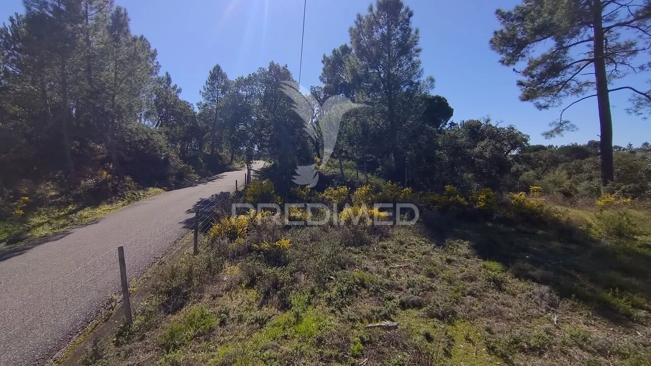 Terreno para Venda em Santa Margarida da Coutada Foto 32