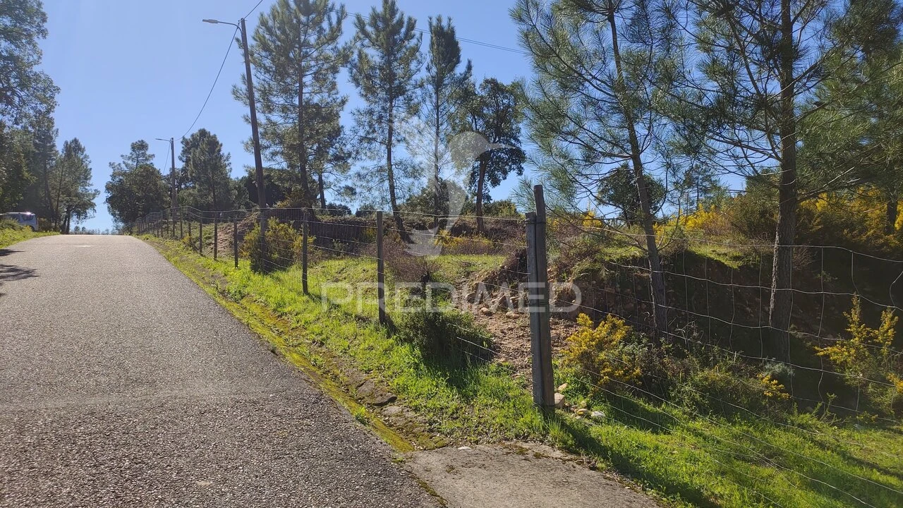 Terreno para Venda em Santa Margarida da Coutada Foto 38