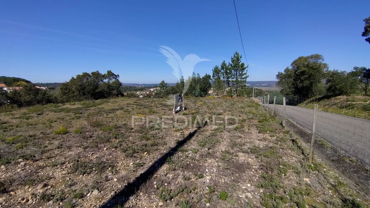 Terreno para Venda em Santa Margarida da Coutada Foto 25