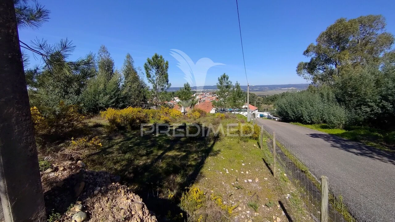 Terreno para Venda em Santa Margarida da Coutada Foto 20