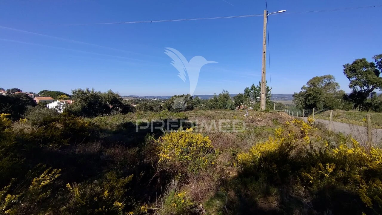 Terreno para Venda em Santa Margarida da Coutada Foto 33