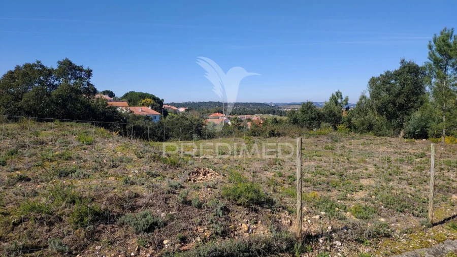Terreno para Venda em Santa Margarida da Coutada Foto 4