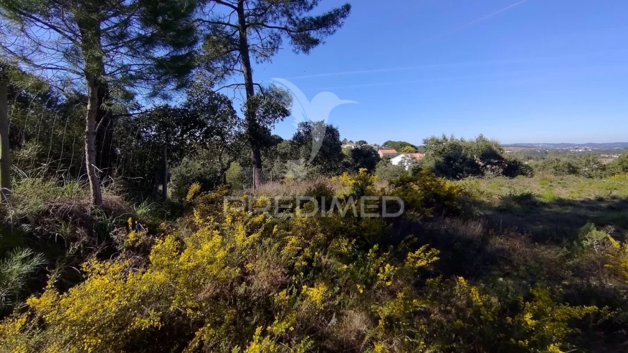 Terreno para Venda em Santa Margarida da Coutada Foto 35