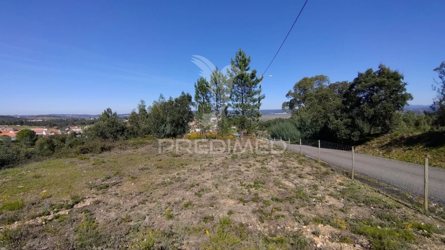 Terreno para Venda em Santa Margarida da Coutada Foto 26