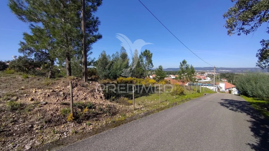 Terreno para Venda em Santa Margarida da Coutada Foto 9