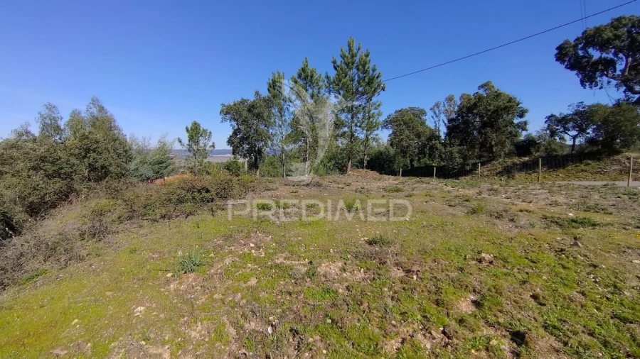 Terreno para Venda em Santa Margarida da Coutada Foto 23