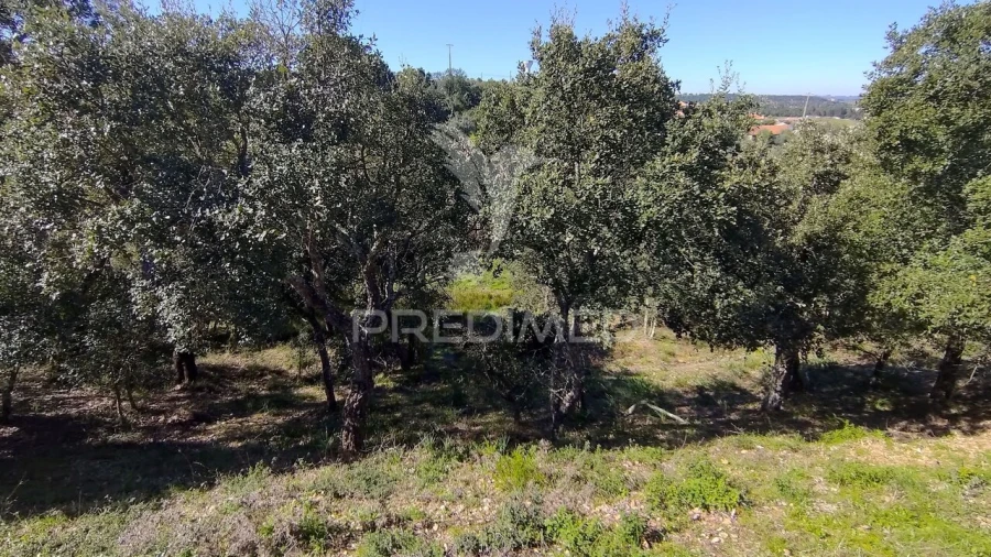 Terreno para Venda em Santa Margarida da Coutada Foto 29