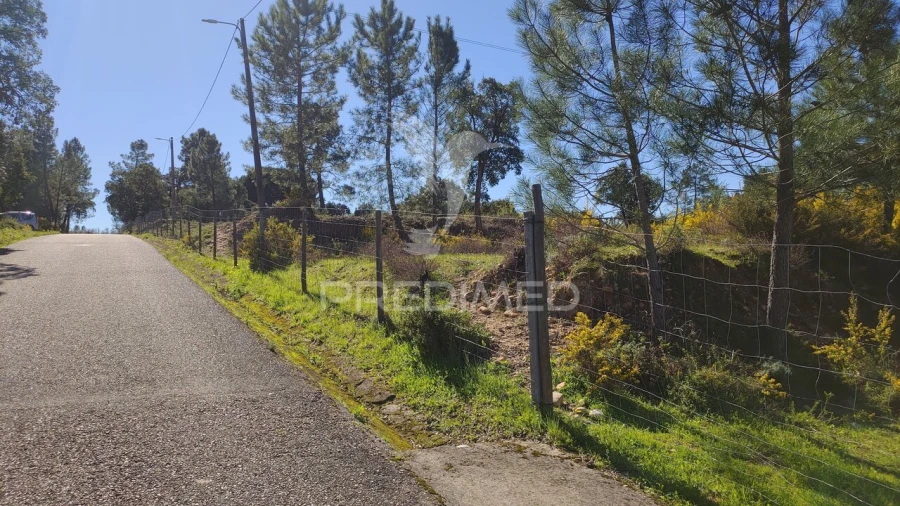 Terreno para Venda em Santa Margarida da Coutada Foto 38