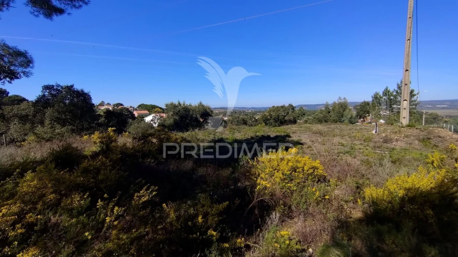 Terreno para Venda em Santa Margarida da Coutada Foto 34