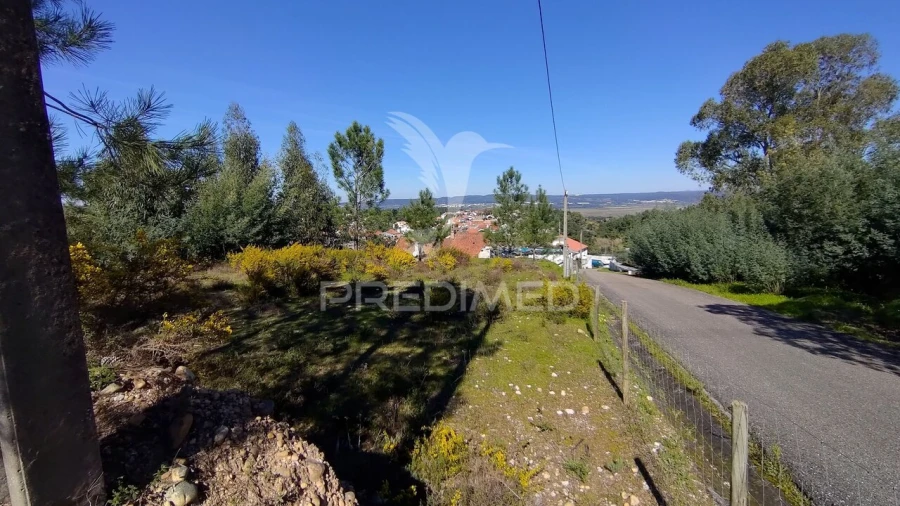 Terreno para Venda em Santa Margarida da Coutada Foto 20