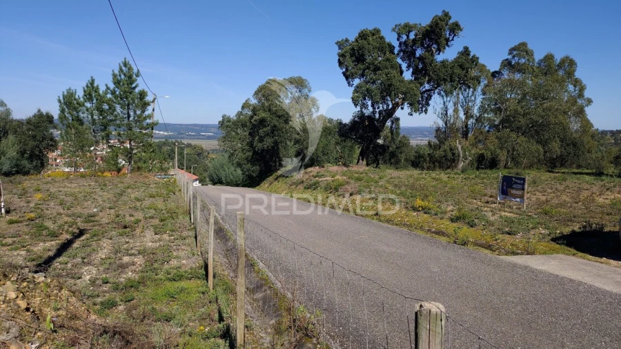 Terreno para Venda em Santa Margarida da Coutada Foto 36