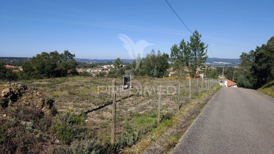 Terreno para Venda em Santa Margarida da Coutada Foto 2