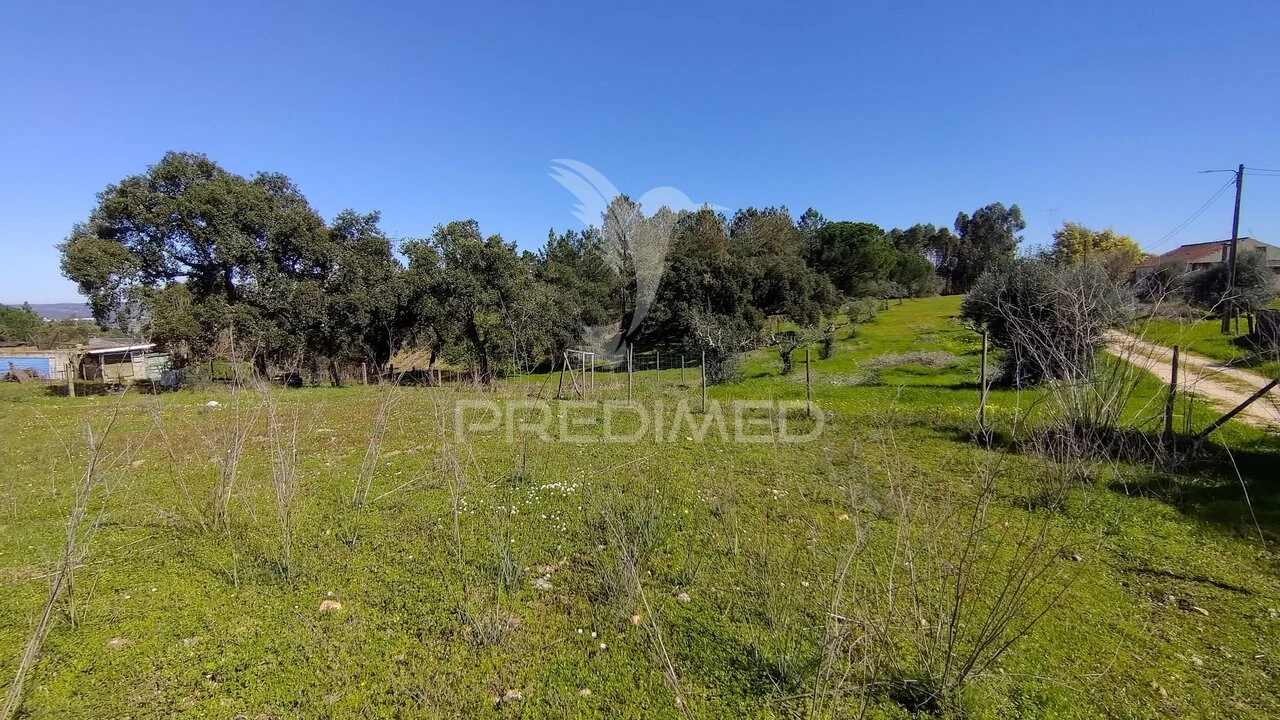 Terreno para Venda em Santa Margarida da Coutada Foto 33