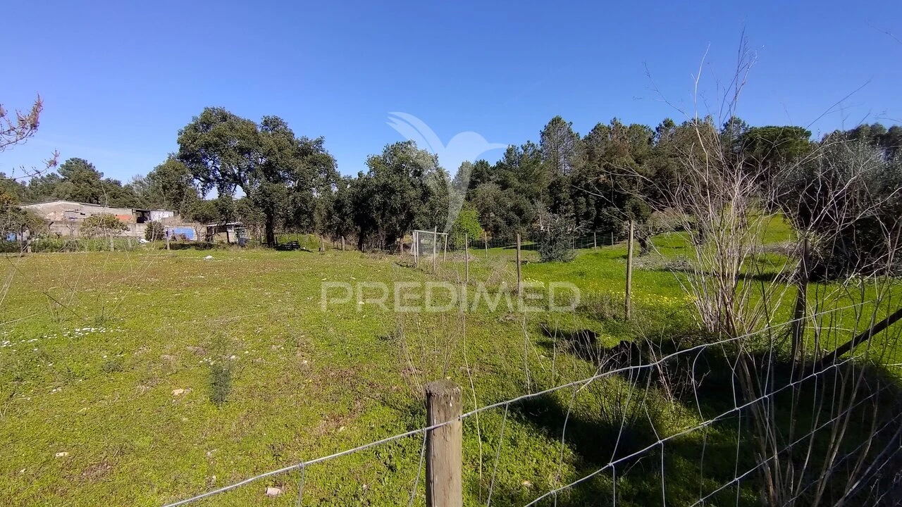Terreno para Venda em Santa Margarida da Coutada Foto 7