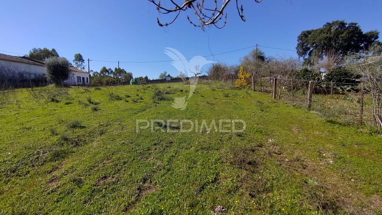Terreno para Venda em Santa Margarida da Coutada Foto 35