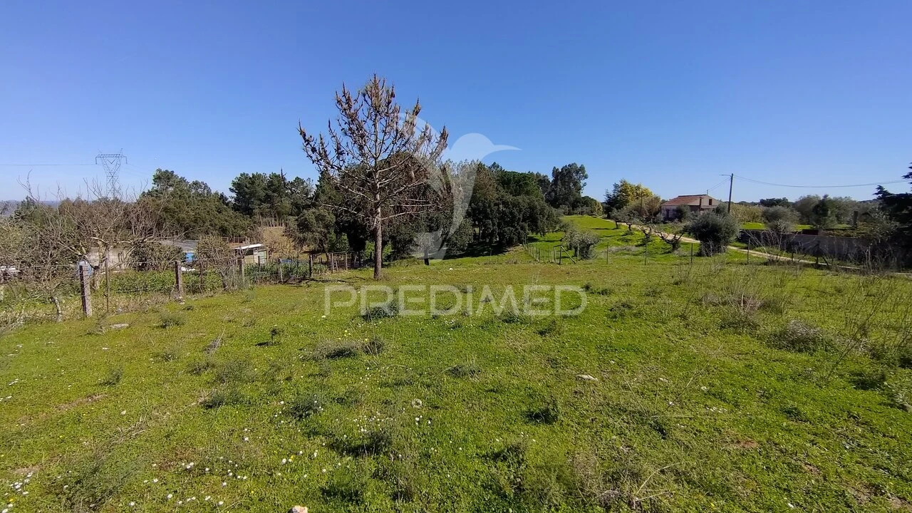 Terreno para Venda em Santa Margarida da Coutada Foto 38