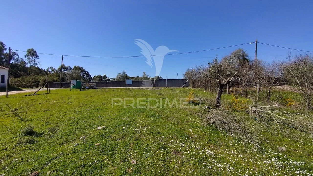 Terreno para Venda em Santa Margarida da Coutada Foto 37