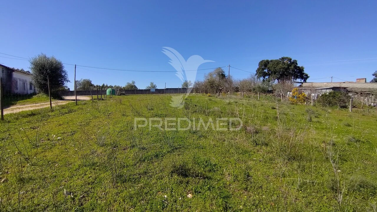 Terreno para Venda em Santa Margarida da Coutada Foto 34