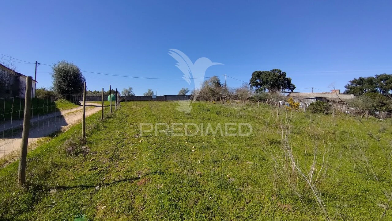 Terreno para Venda em Santa Margarida da Coutada Foto 31