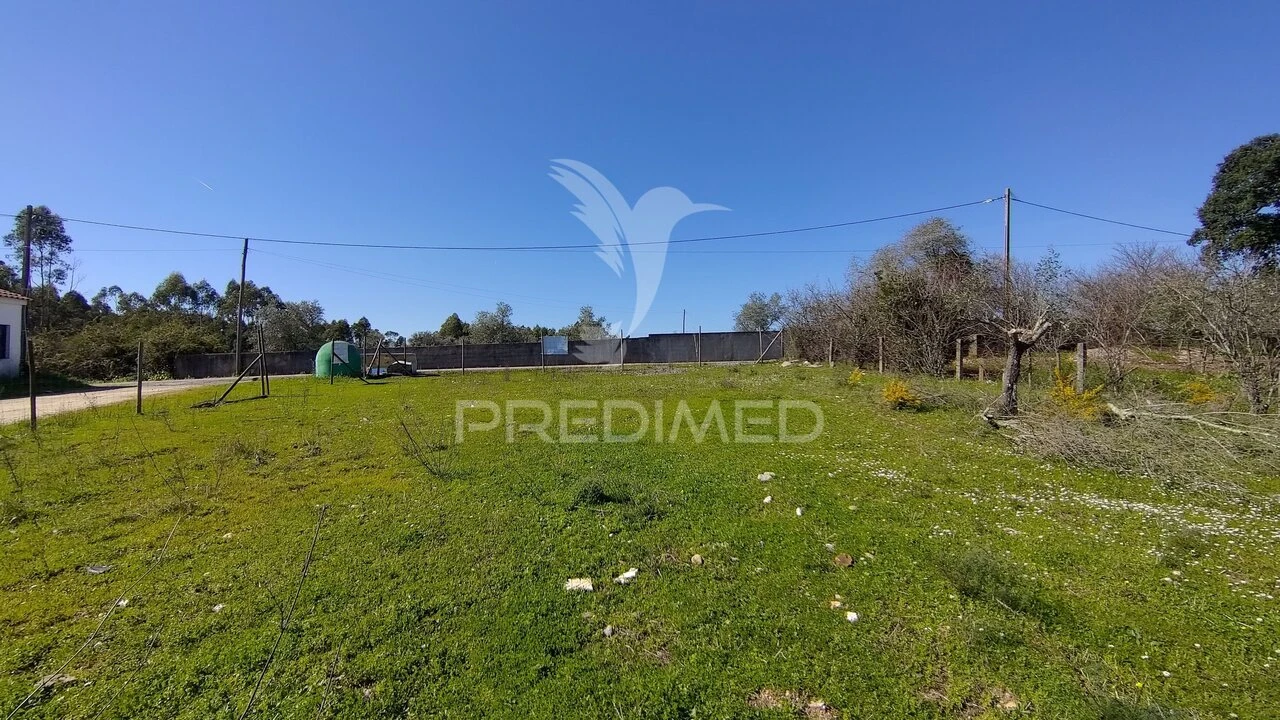 Terreno para Venda em Santa Margarida da Coutada Foto 10