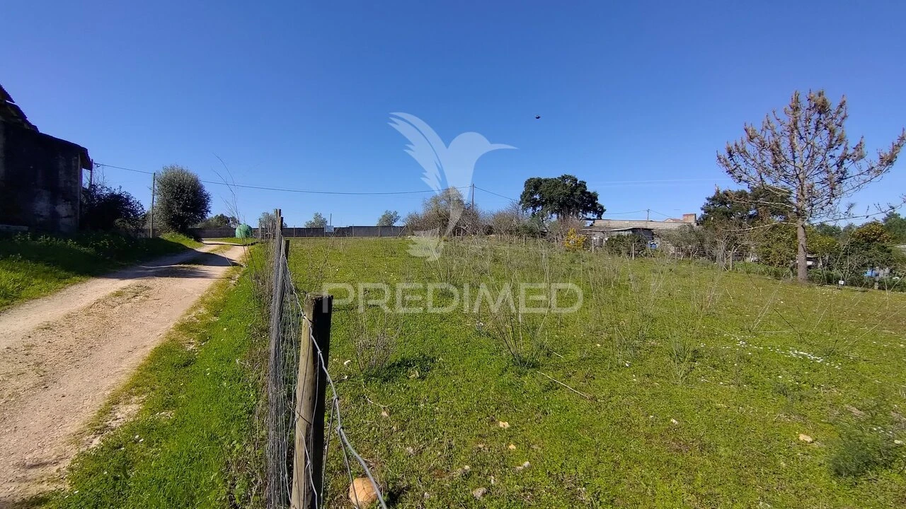 Terreno para Venda em Santa Margarida da Coutada Foto 8