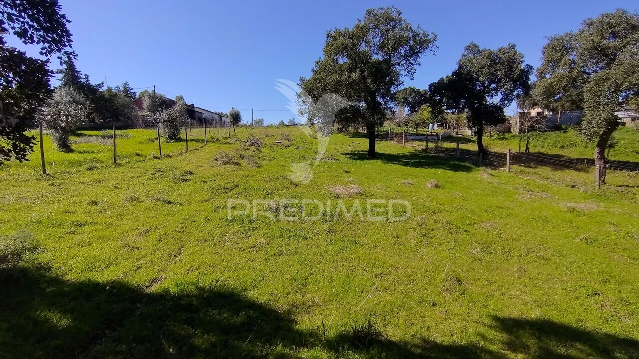 Terreno para Venda em Santa Margarida da Coutada Foto 25